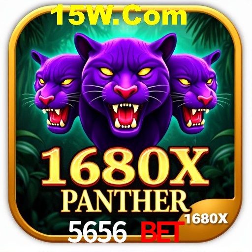 Experiência VIP 5656 Bet